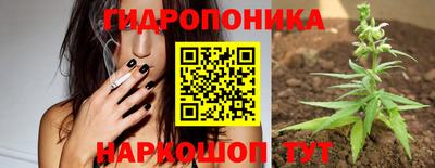 Альфа ПВП Тверь