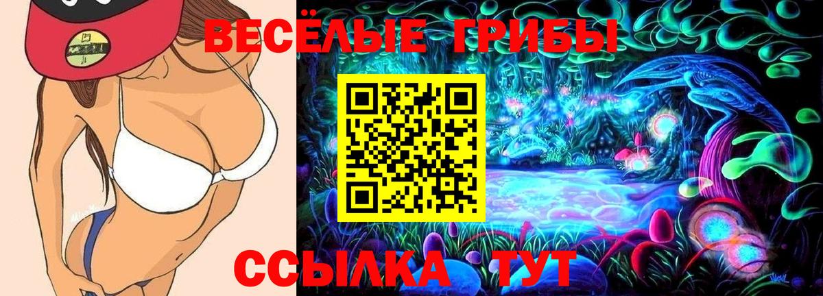 Галлюциногенные грибы мицелий Орёл